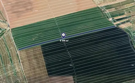 Prodej pole 4 169 m², Čejkovice, okres Hodonín