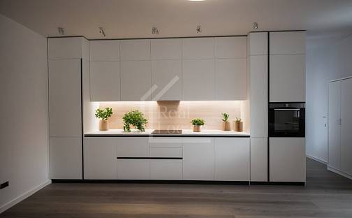 Pronájem bytu 3+kk 120 m², Třebízského, Praha 2 - Vinohrady