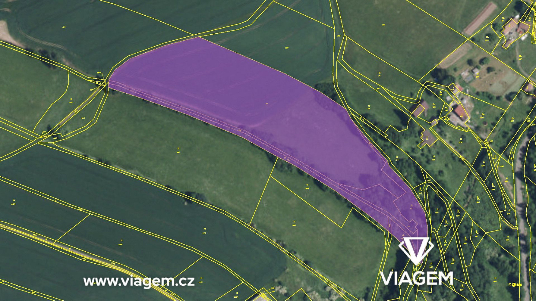 Prodej pole 17 005 m² – fotografie 4