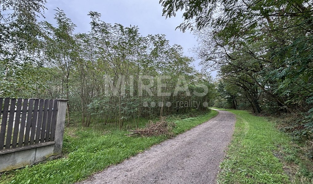 Prodej stavebního pozemku 2 111 m², Jiřice – náhled fotky 9