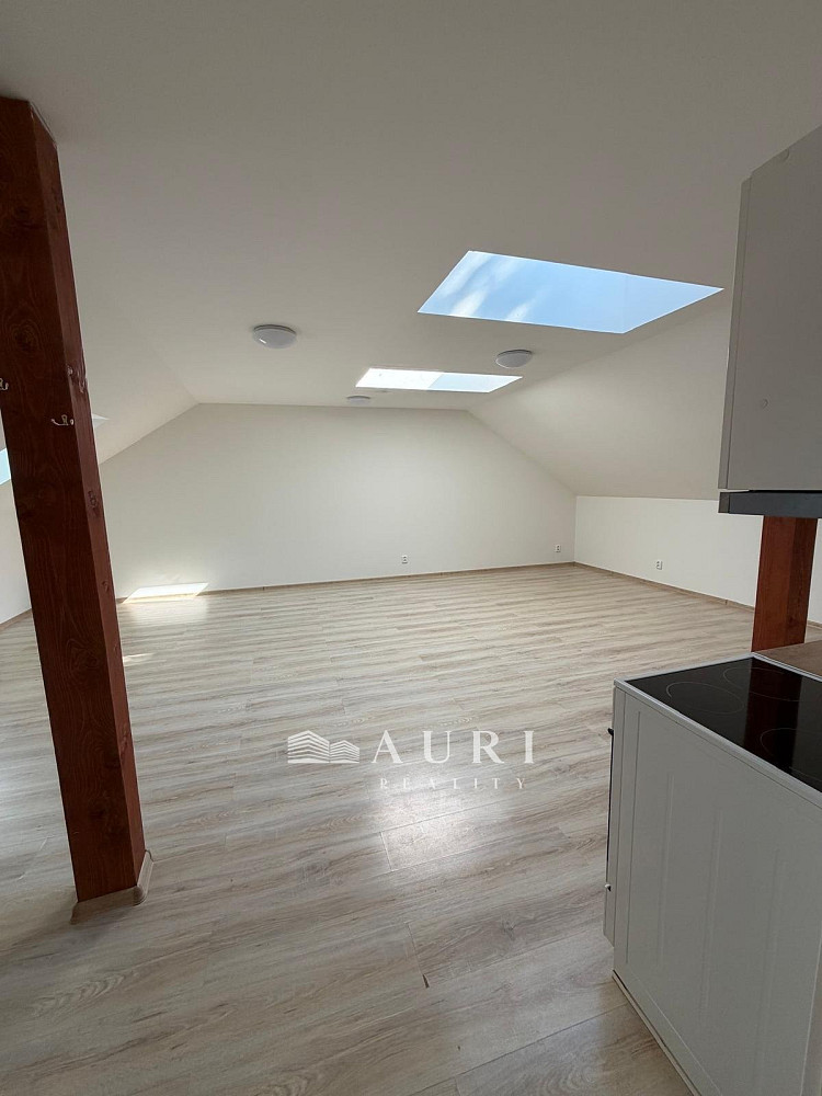 Pronájem bytu 1+kk 58 m² — photo 3