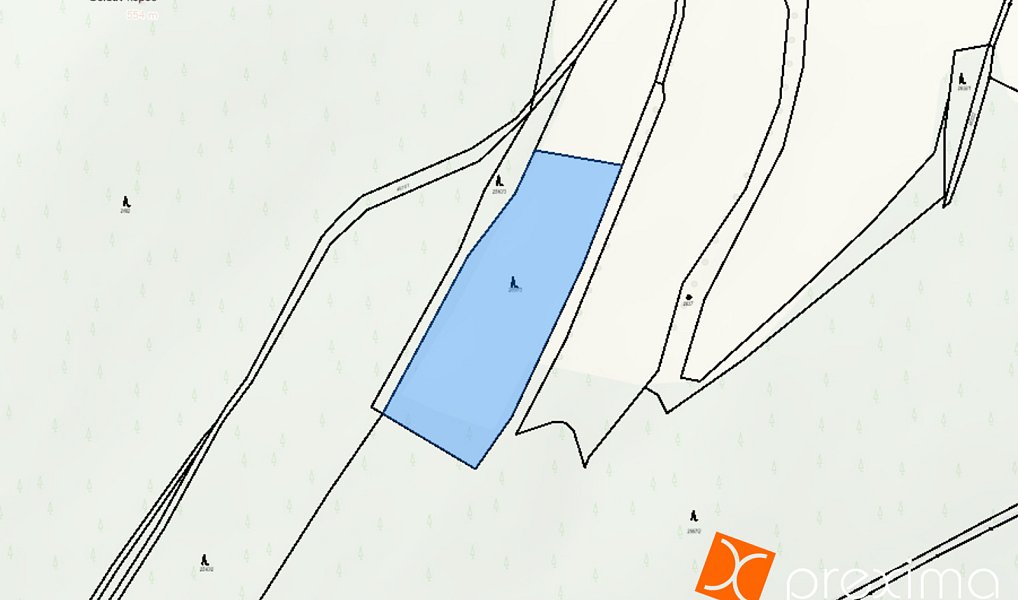 Prodej lesa 1 293 m², Jindřichov – náhled fotky 2