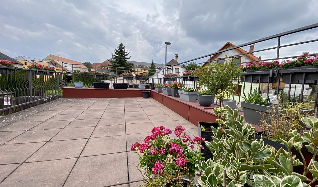 Pronájem bytu 3+kk 74 m², Kosmonosy – náhled fotky 14