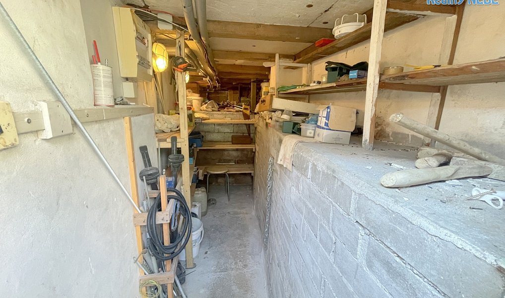 Prodej chaty/chalupy 100 m² s pozemkem 107 m², Jílové u Prahy – náhled fotky 41