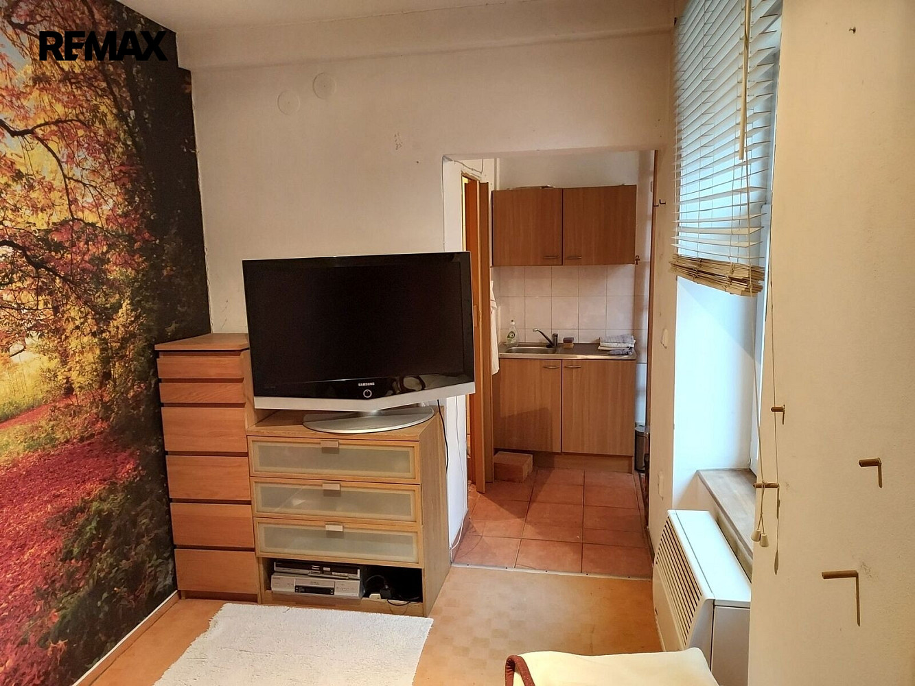 Apartament me 1 dhoma, 19 m²