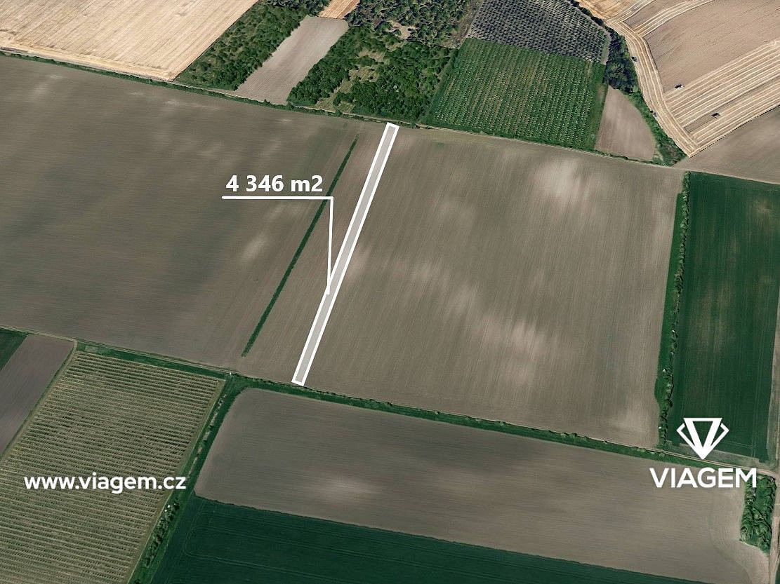 Prodej pole 2 173 m²
