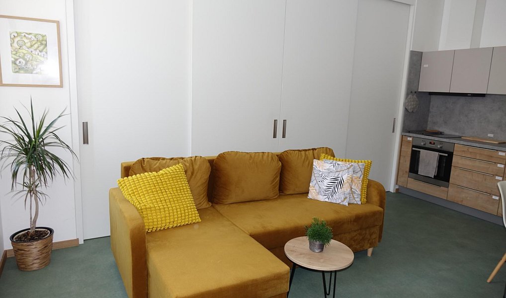 Pronájem bytu 2+kk 40 m², Strážnice – náhled fotky 3