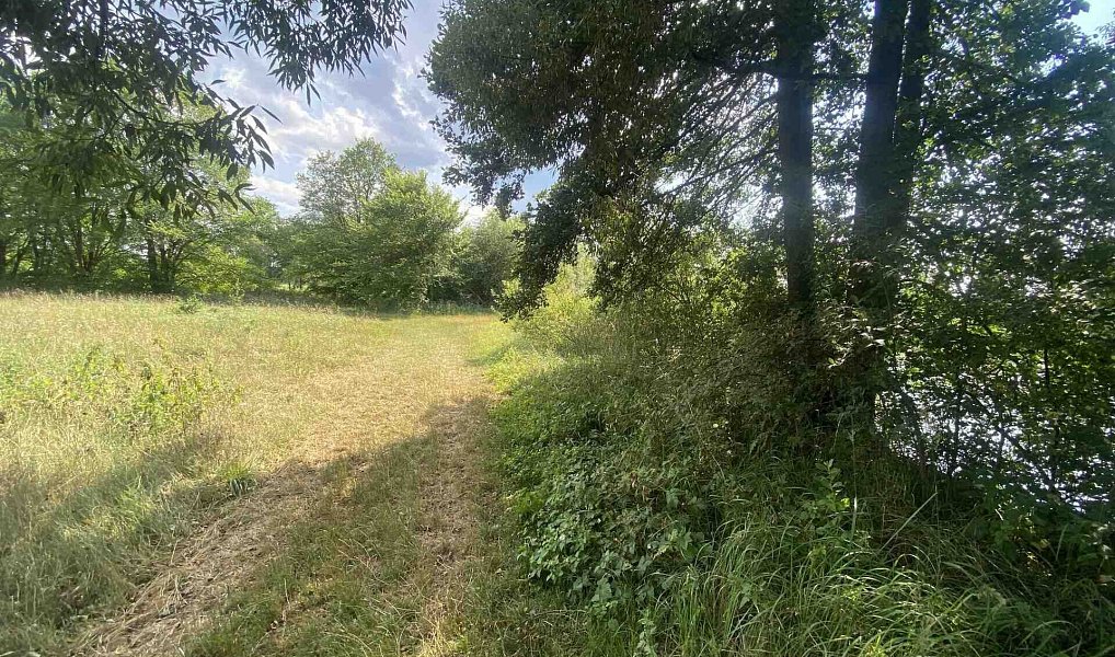 Prodej pozemku 2 756 m², Třeboň – náhled fotky 4