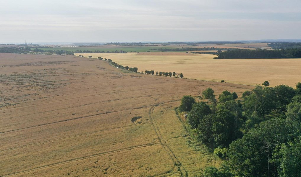 Prodej pole 10 325 m², Horní Slivno – náhled fotky 4