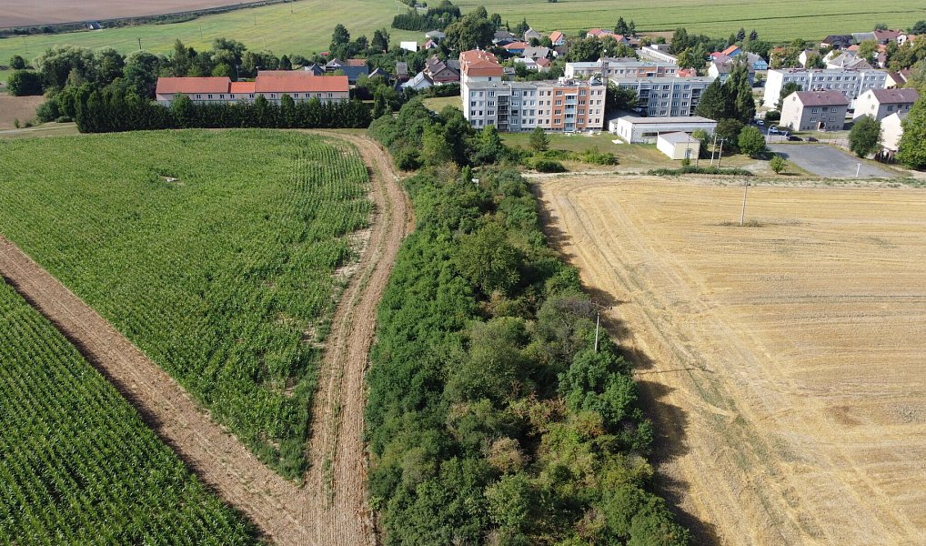 Prodej pole 6 167 m², Žihle – náhled fotky 2