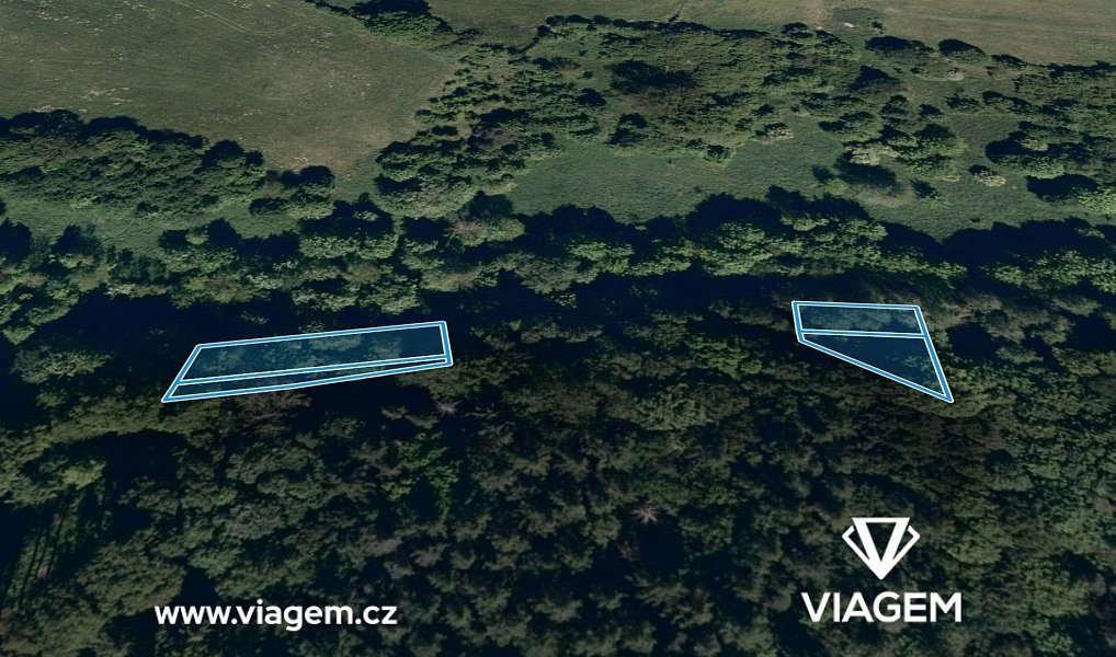 Prodej lesa 2 135 m², Lhota – náhled fotky 2