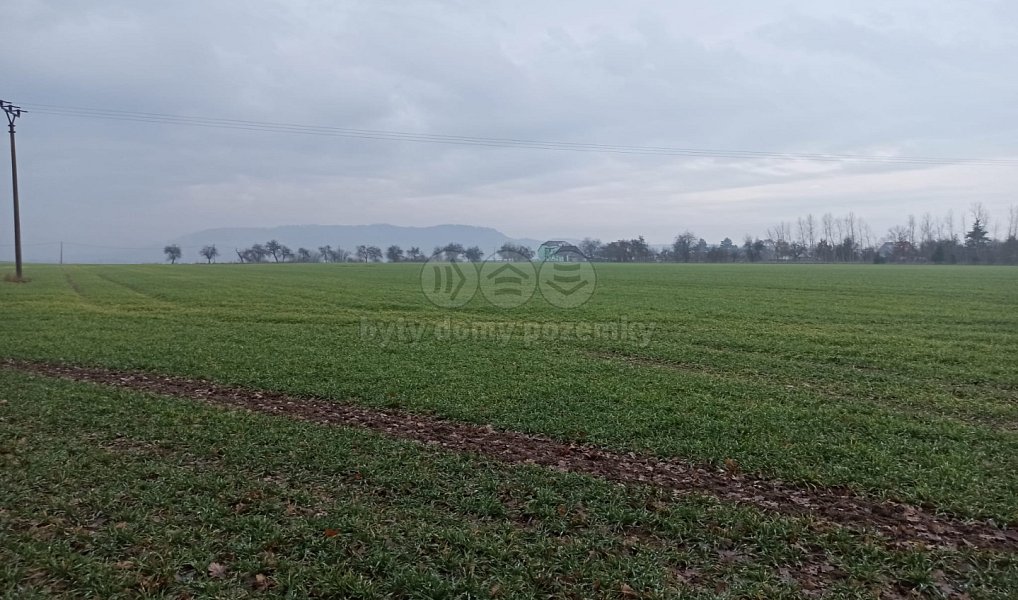 Prodej pole 162 m², Mnichovo Hradiště – náhled fotky 3