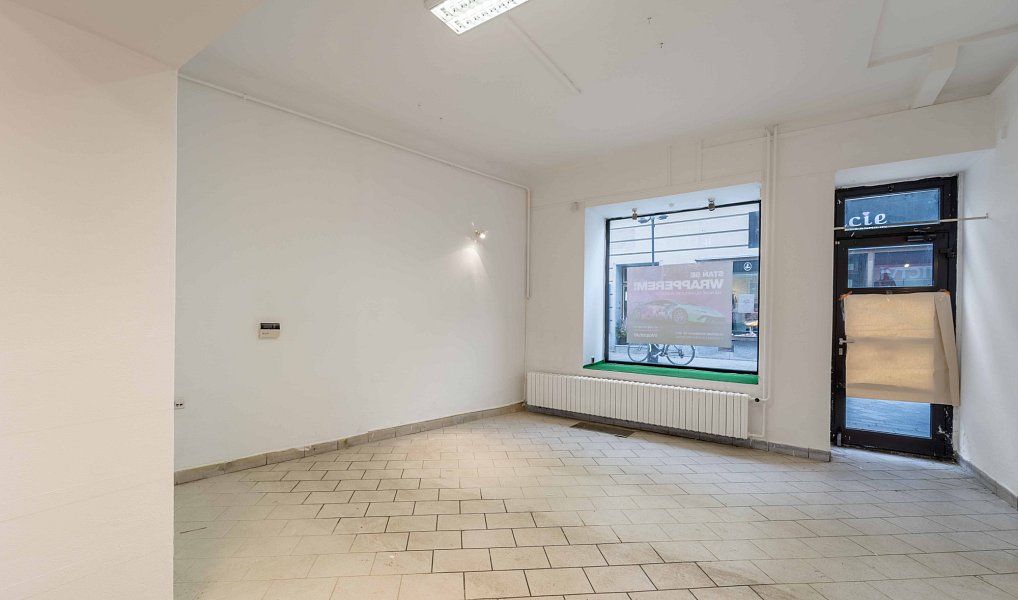 Prodej obchodních prostor 280 m², Přerov – náhled fotky 7