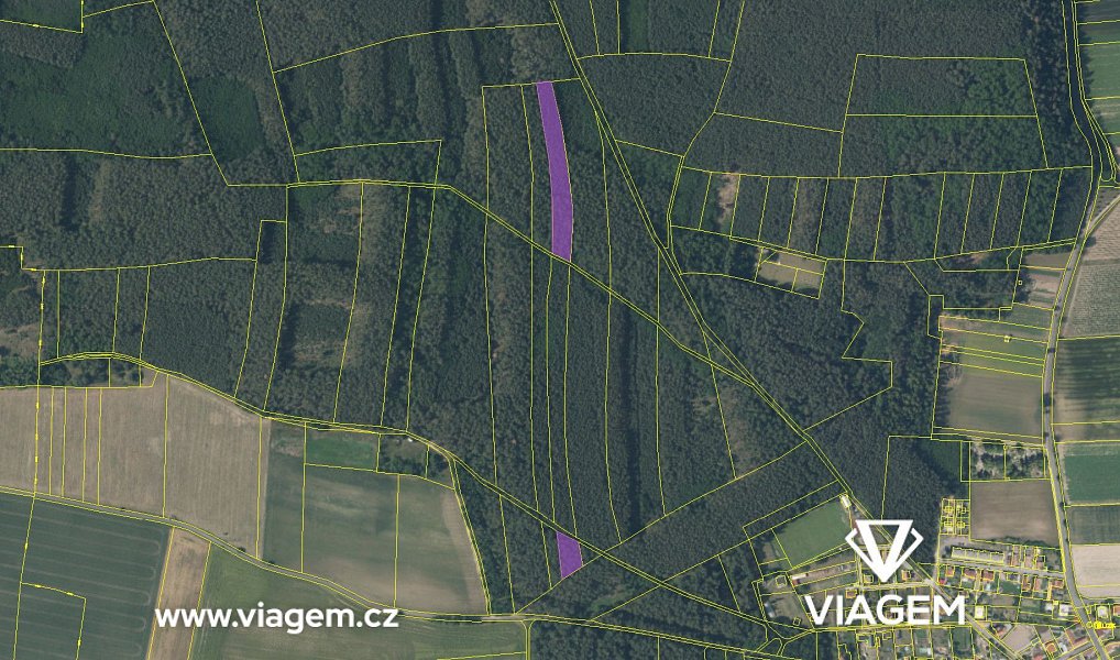 Prodej lesa 2 048 m², Libotenice – náhled fotky 4