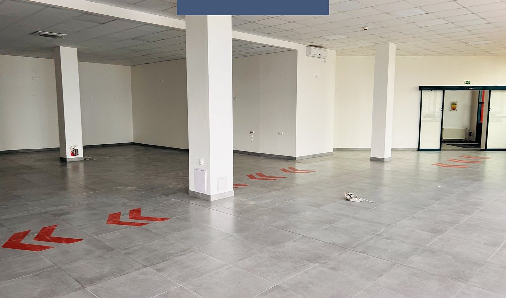 Pronájem obchodních prostor 2 228 m², Průhonice – náhled fotky 18