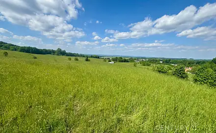 Prodej stavebního pozemku 5 167 m², Vlčice, okres Jeseník