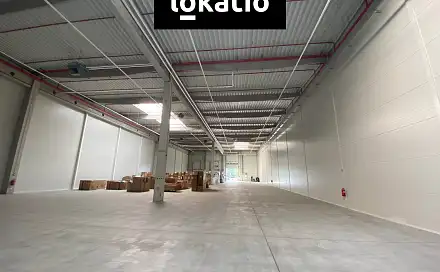 Pronájem skladovacích prostor 1 589 m², Ostrava