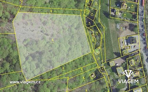 Prodej lesa 6 247 m², Davle, okres Praha-západ