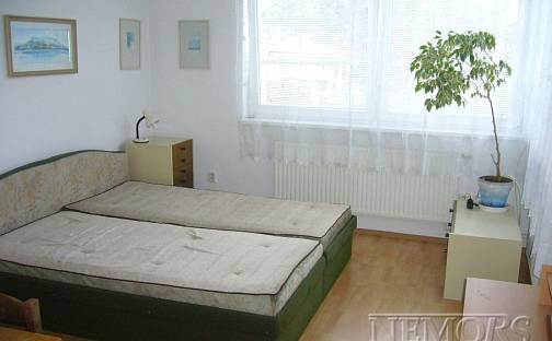 Pronájem bytu 1+kk 22 m², Míčkova, Brno - Husovice