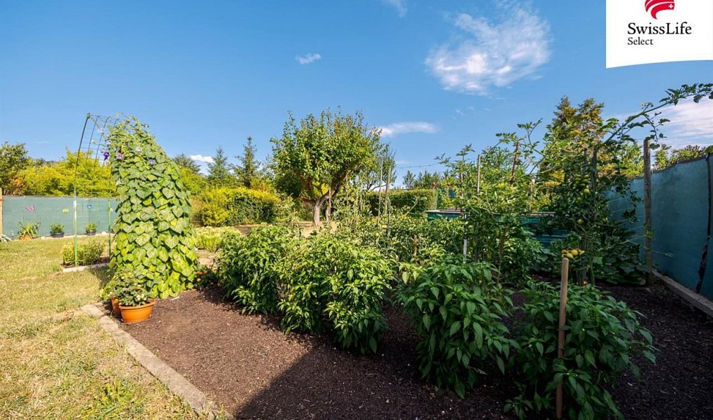 Prodej chaty/chalupy 34 m² s pozemkem 438 m², Znojmo – náhled fotky 8