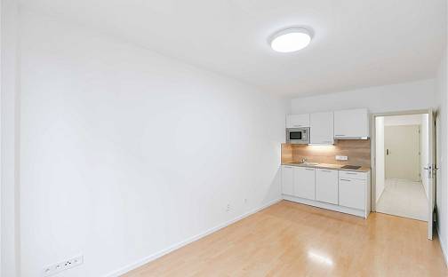 Pronájem bytu 1+kk 25 m², Štítného, Praha 3 - Žižkov, okres Praha