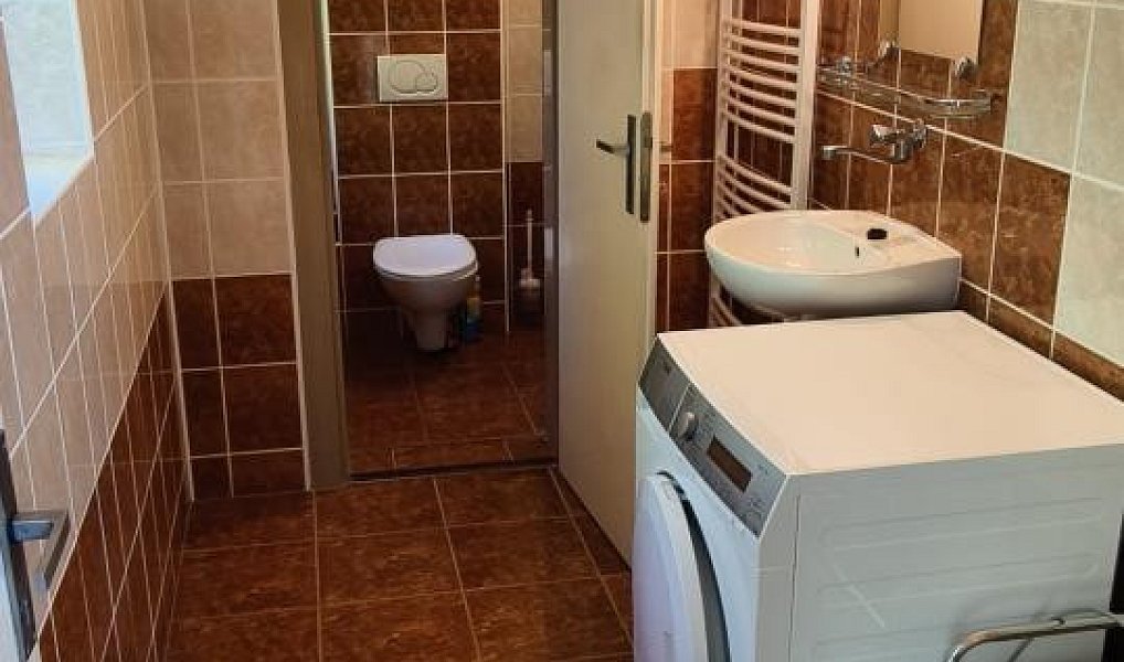 Prodej domu 467 m² s pozemkem 4 154 m², Třinec – náhled fotky 15