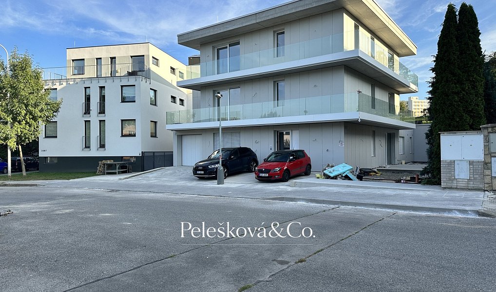 Prodej bytu 5+kk 169 m², Praha – náhled fotky 46