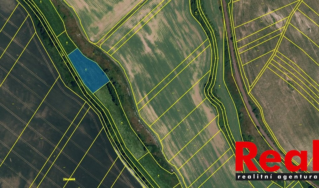 Prodej pole 23 551 m², Blížkovice – náhled fotky 2