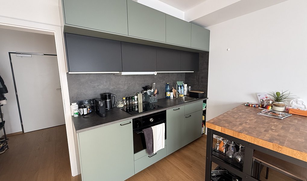 Pronájem bytu 1+kk 44 m², Hradec Králové – náhled fotky 4
