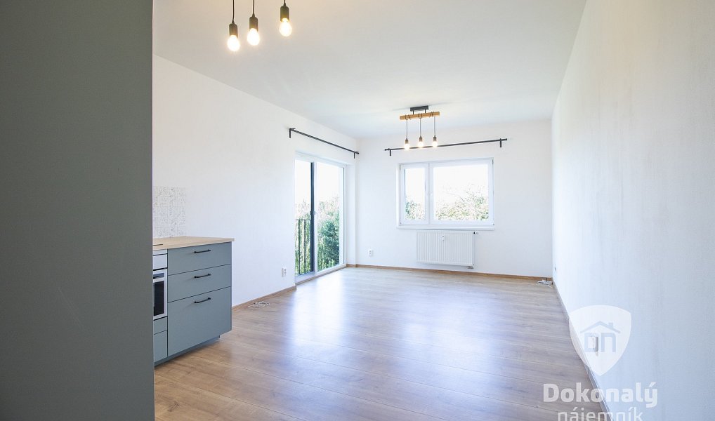 Pronájem bytu 2+kk 53 m², Milovice – náhled fotky 4