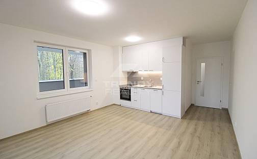 Pronájem bytu 2+kk 57 m², Heyrovského, Plzeň - Doudlevce