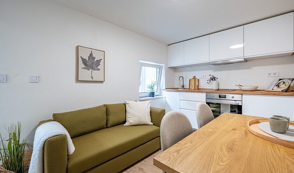 Prodej bytu 2+kk 30 m², Brno – náhled fotky 7