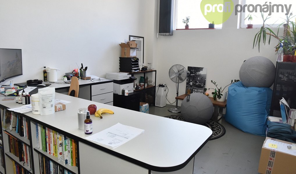 Pronájem výrobních prostor 701 m², Ostrava – náhled fotky 2