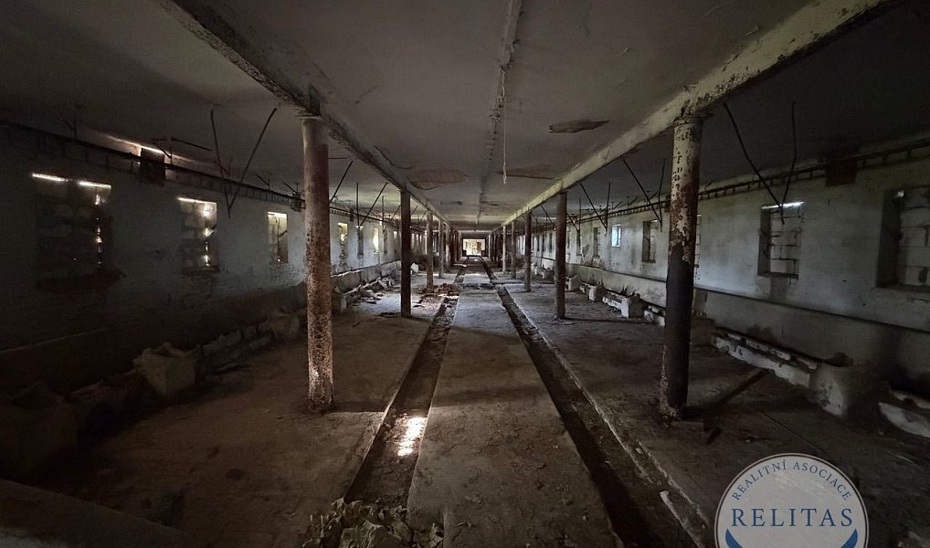 Prodej stavebního pozemku 8 592 m², Kokořín – náhled fotky 4
