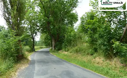 Prodej pozemku 5 988 m², Jezerní, Františkovy Lázně, okres Cheb