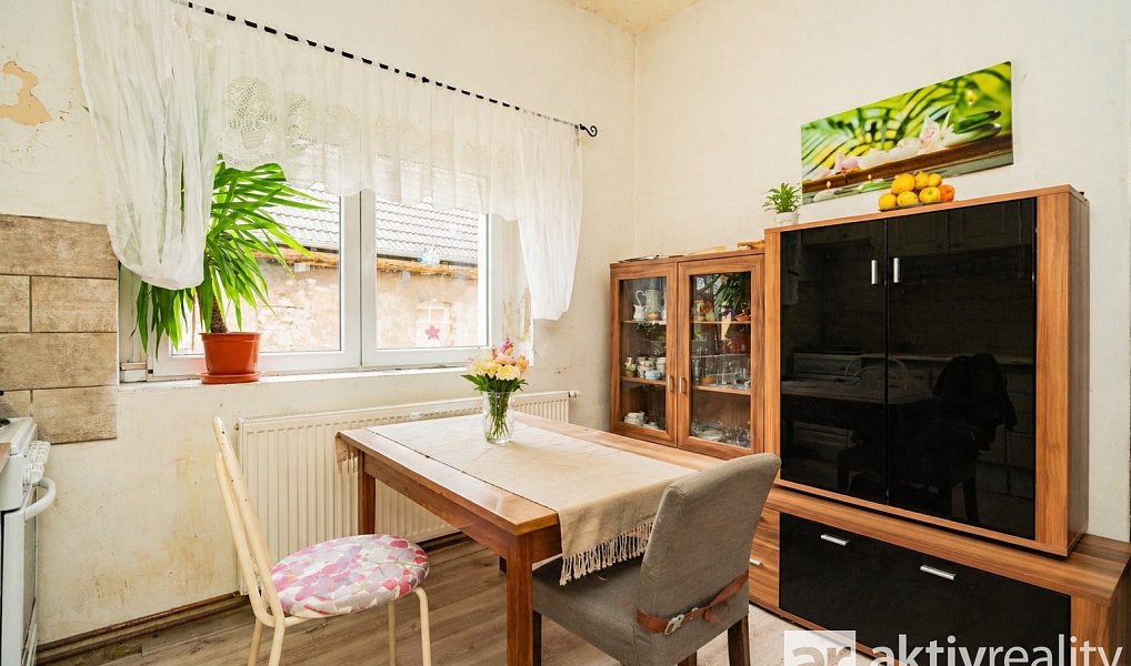 Prodej domu 250 m² s pozemkem 1 005 m², Dolní Zálezly – náhled fotky 24