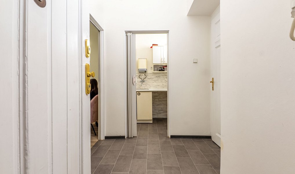Pronájem obchodních prostor 50 m², Plzeň – náhled fotky 4