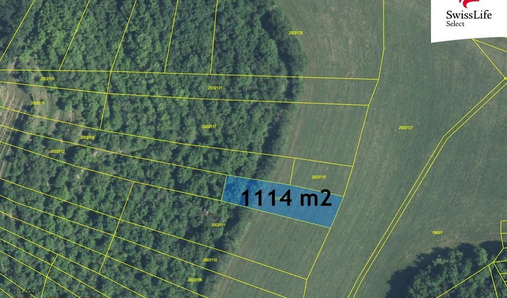 Prodej komerčního pozemku 3 394 m², Brumovice – náhled fotky 3