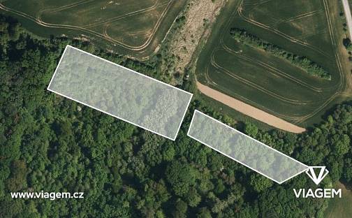 Prodej pole 8 297 m², Halenkovice, okres Zlín