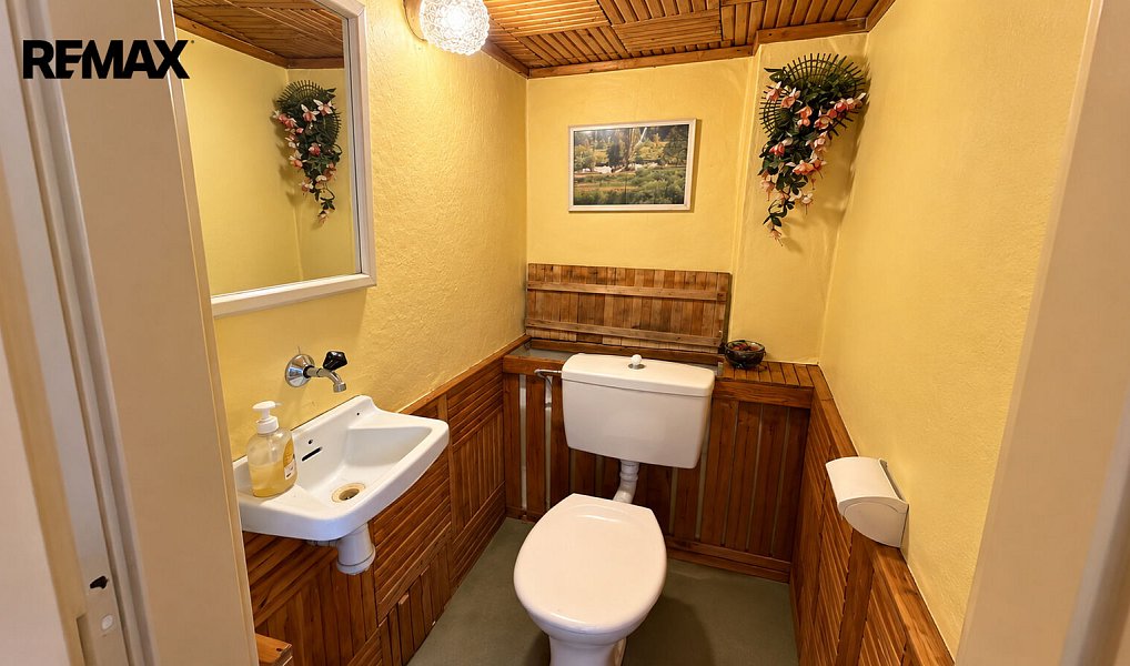 Prodej domu 170 m² s pozemkem 1 659 m², Halže – náhled fotky 18