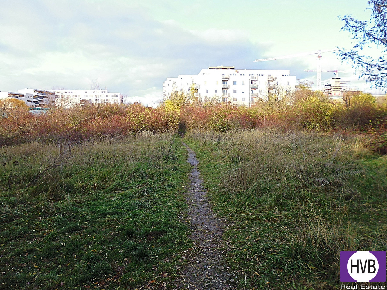 Prodej komerčního pozemku 12 423 m²