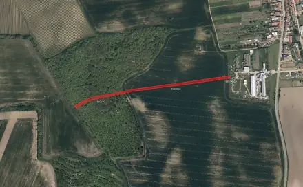 Prodej pole 10 528 m², Syrovín, okres Hodonín