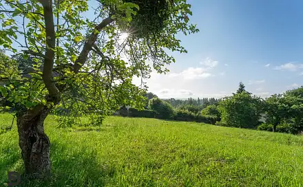 Prodej stavebního pozemku 1 272 m², Semanín, okres Ústí nad Orlicí