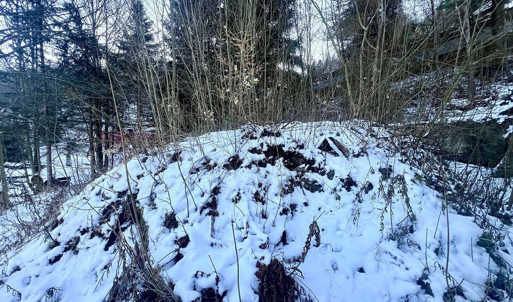 Prodej stavebního pozemku 693 m², Jáchymov – náhled fotky 5