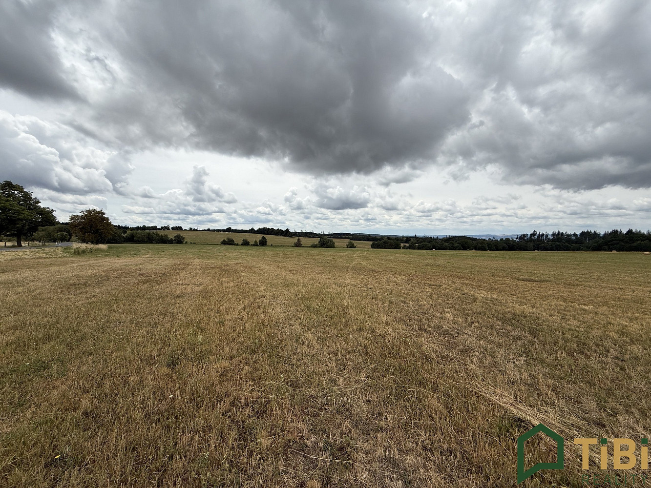 Prodej pole 2 000 m² — photo 2
