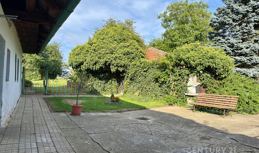 Prodej domu 114 m² s pozemkem 2 707 m², Pačlavice – náhled fotky 6