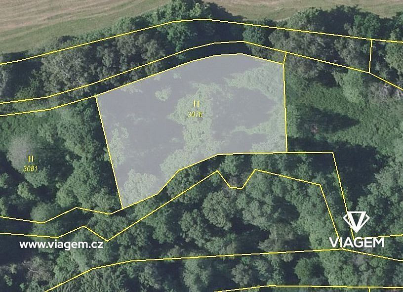 Prodej pole 1 005 m² – fotografie 3
