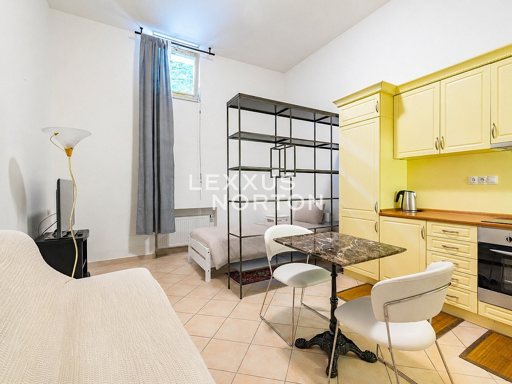 Pronájem bytu 1+kk 41 m²