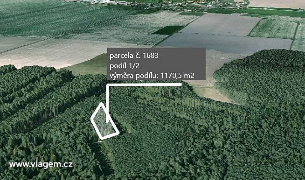 Prodej lesa 1 755 m², Vlastiboř – náhled fotky 2