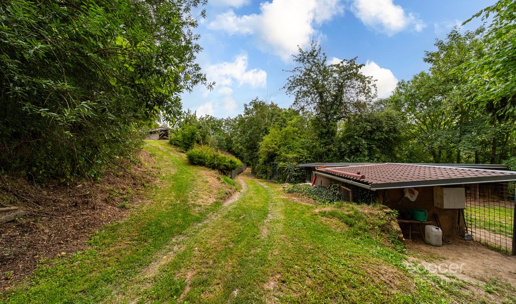 Prodej stavebního pozemku 3 286 m², Mšeno – náhled fotky 18